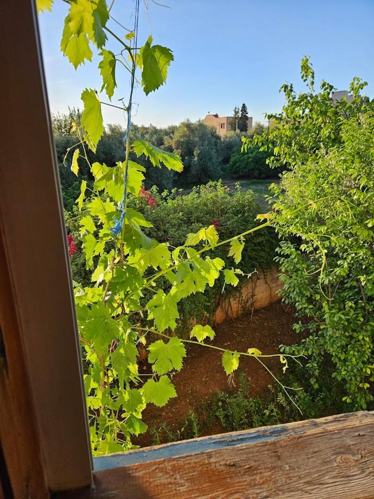 Апартаменти Le Jardin D'Habiba Rhorm el Alem Екстер'єр фото