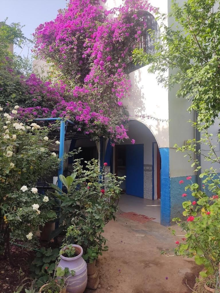 Апартаменти Le Jardin D'Habiba Rhorm el Alem Екстер'єр фото