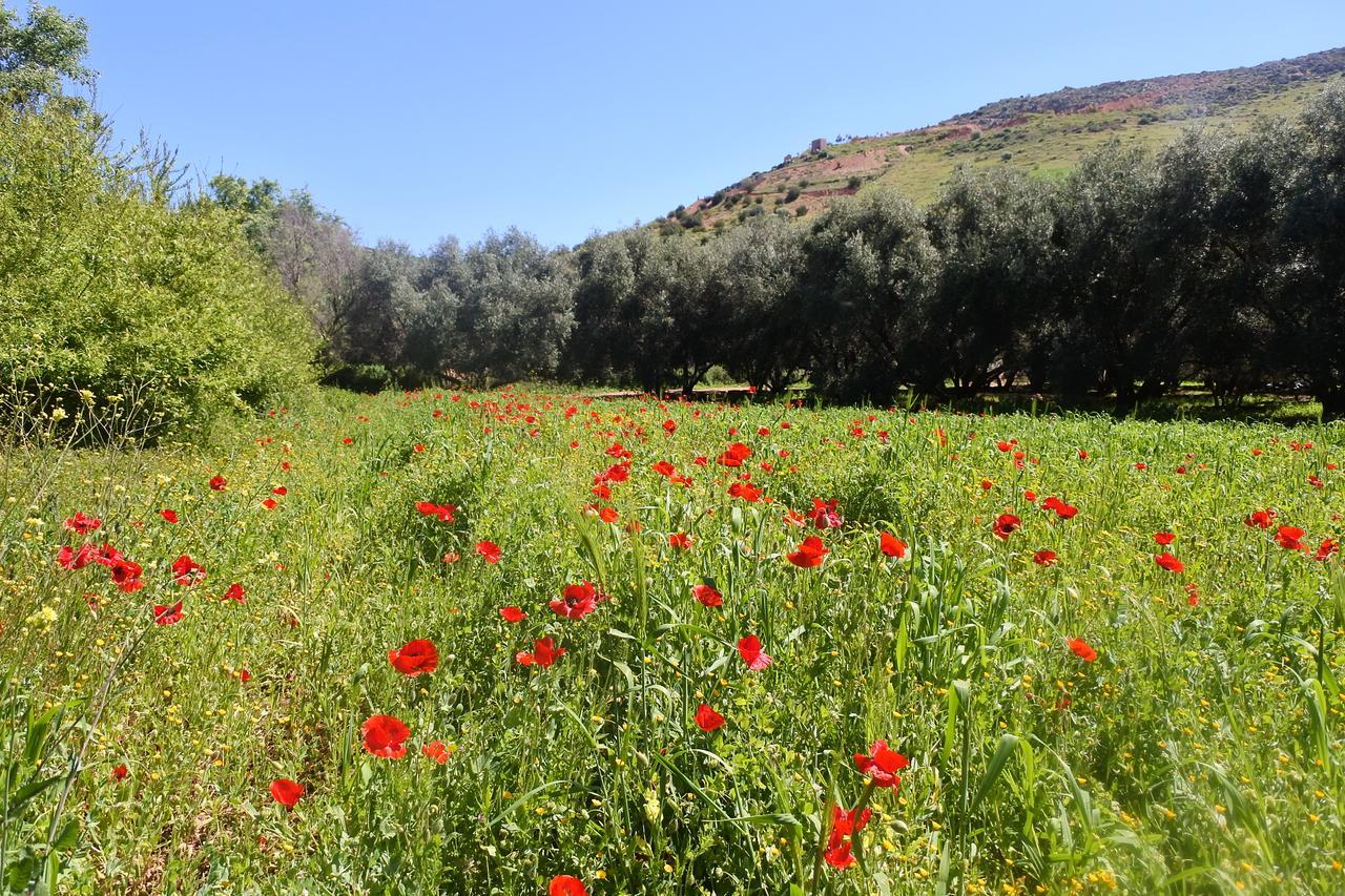 Апартаменти Le Jardin D'Habiba Rhorm el Alem Екстер'єр фото