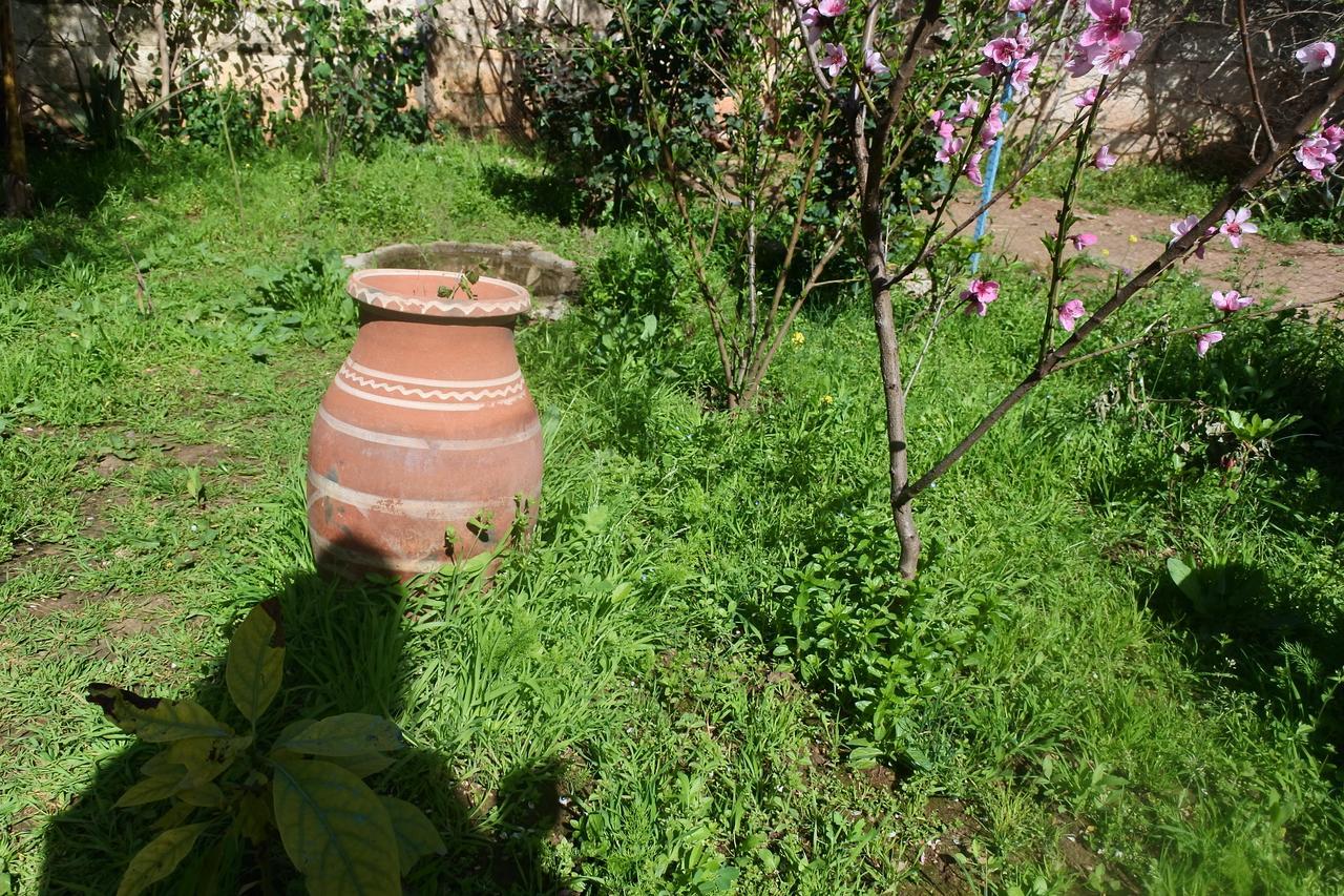 Апартаменти Le Jardin D'Habiba Rhorm el Alem Екстер'єр фото